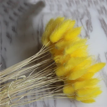 50 шт. букетов сушеных натуральных цветов желтого цвета, букеты Lagurus ovatus, букеты из травы Uraria picta и кроличьего хвоста